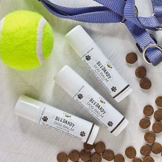 Three sticks of dog balm product with packaging that reads 'BEEDANDY'. The products are displayed next to a tennis ball and a blue leash, suggesting the context of dog care.