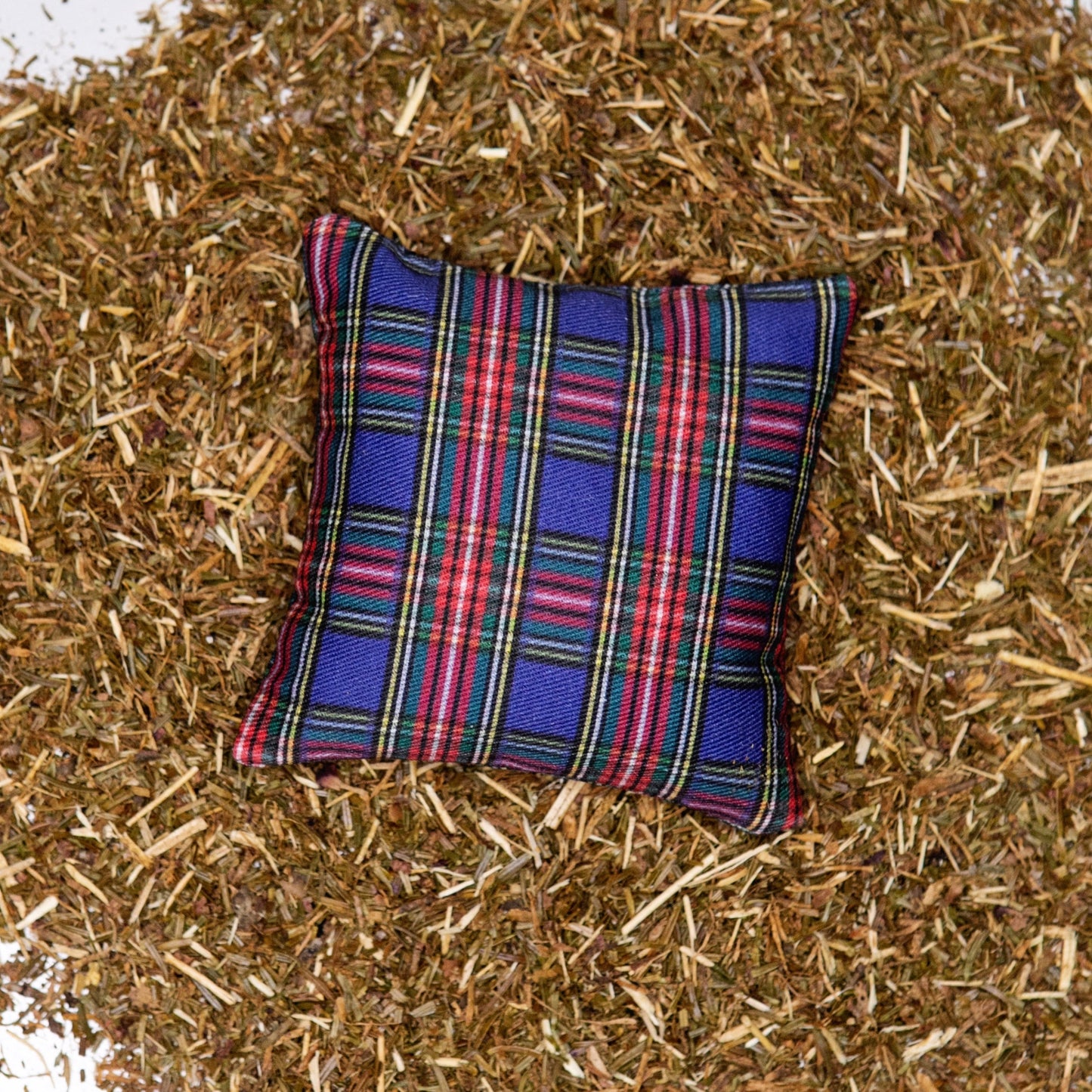 A blue plaid fabric pillow on a bed of balsam fir needles