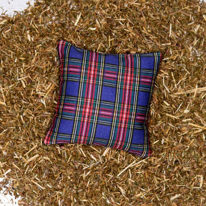 A blue plaid fabric pillow on a bed of balsam fir needles