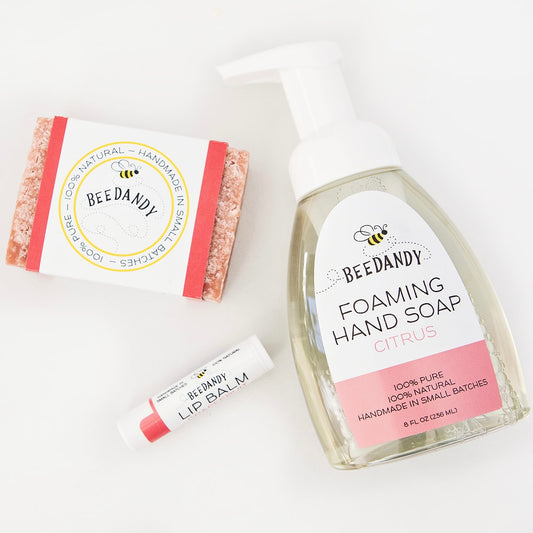 Foaming Hand Soap Set