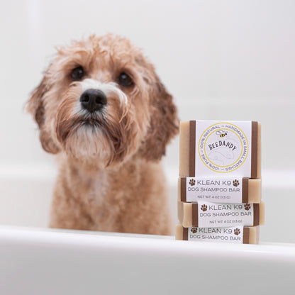 Dog in white bathtub sitting behind a stack of Beedandy Klean K9 dog shampoo bars.