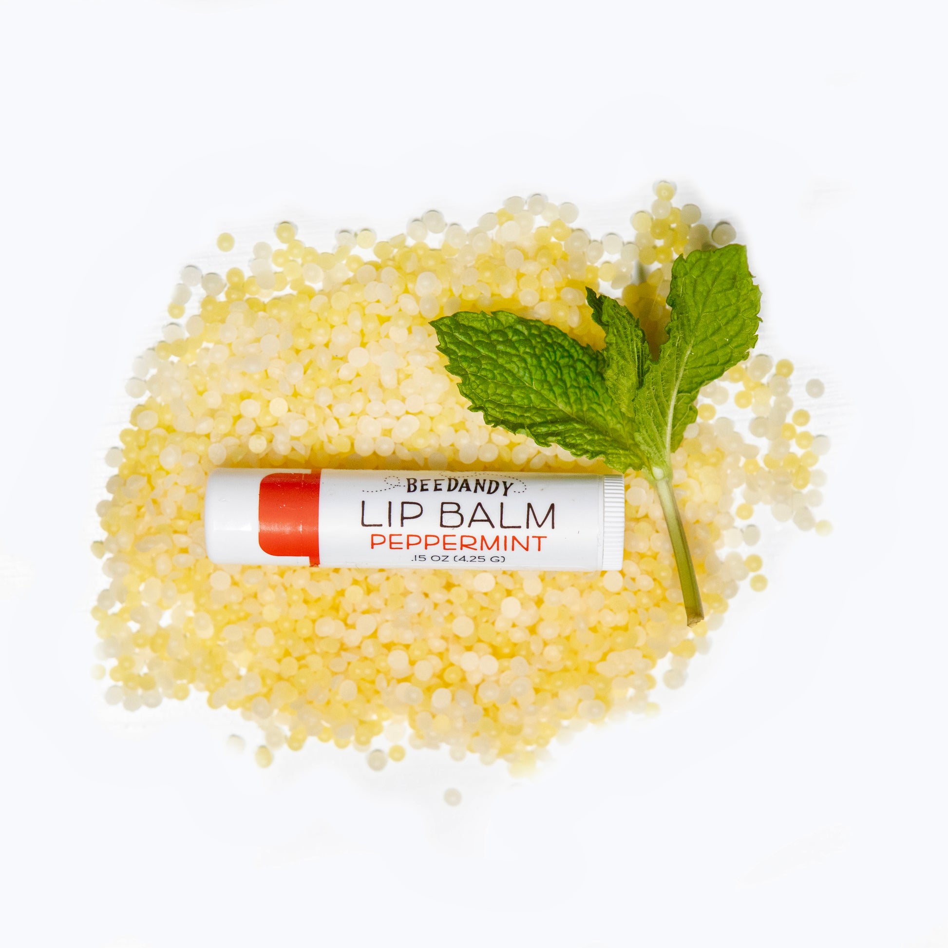 Beedandy peppermint lip balm resting on yellow beeswax pellets with sprig of mint